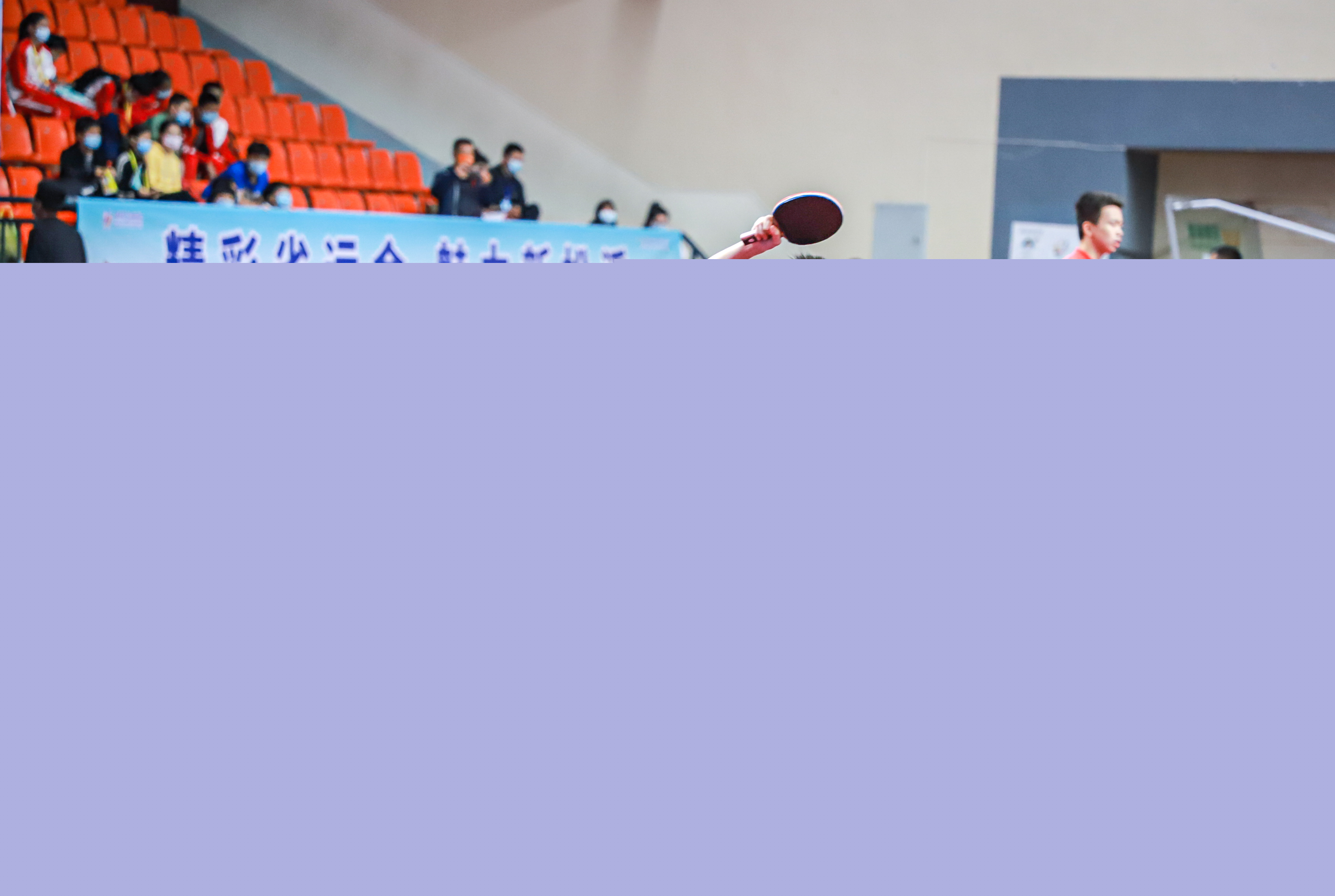 个人职业生 个人职业生