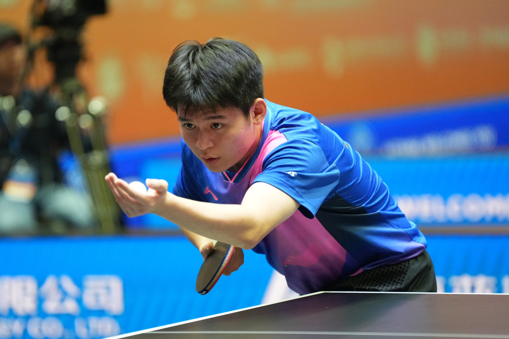 岛上成长的 岛上成长的